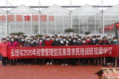 ��ԫ�С�����ء�������2020�������