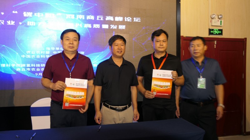 ��������ٰ조̼�к͡��߷���̳