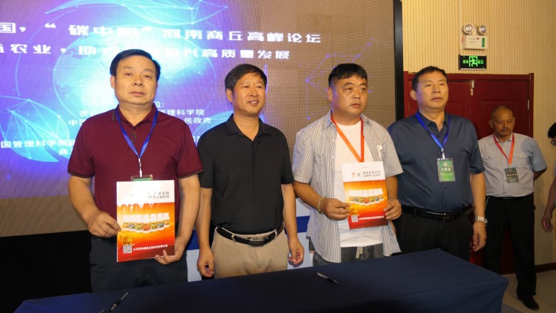 ��������ٰ조̼�к͡��߷���̳