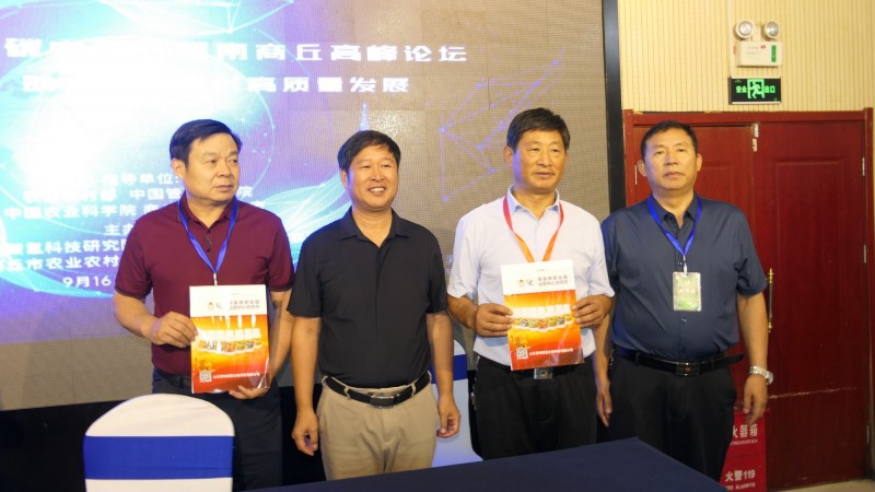 ��������ٰ조̼�к͡��߷���̳